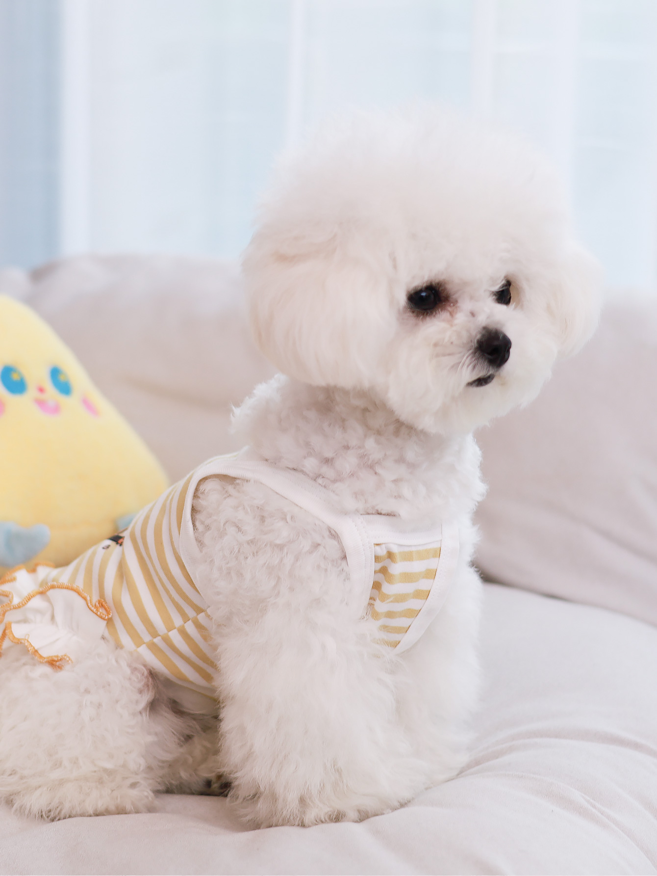 Colete para cães, roupas para  - Summer Clothing Material avaliação e preço